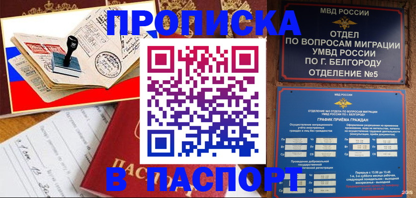 купить прописку в Александровске-Сахалинском